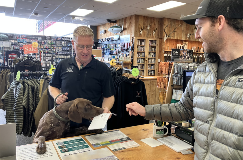 Game bird licences on sale now