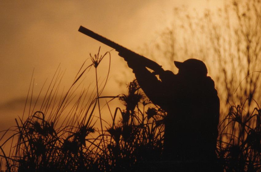 Hawkes Bay Game Bird Regulation Recommendations