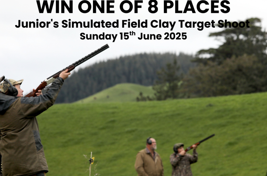 Junior Simulated Field Clay Target Shoot Competition