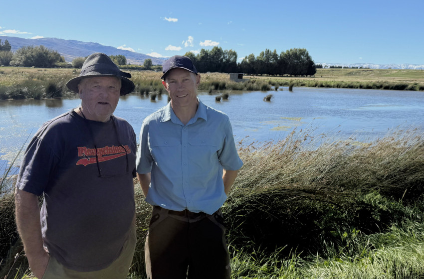 Otago farmers creating vital wetland habitats as duck season approaches 