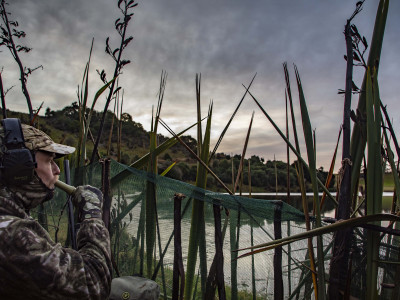 hunting man in maimai