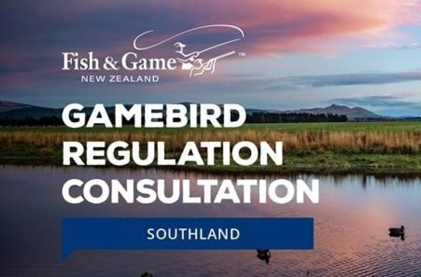 Southland Gamebird Regulation Consultation 2026