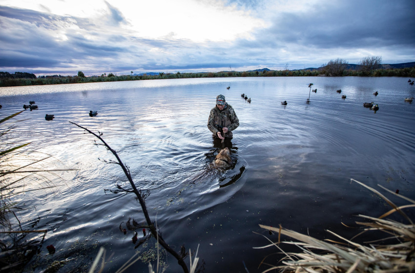 Successful 2025 Game Bird Season draws to a close