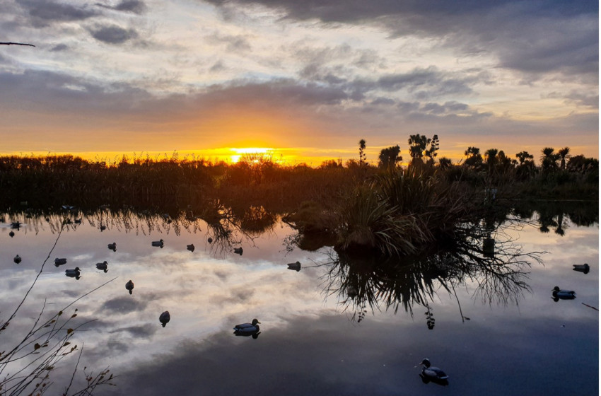 North Canterbury - Bi-Weekly Hunting Report 17 July 2025