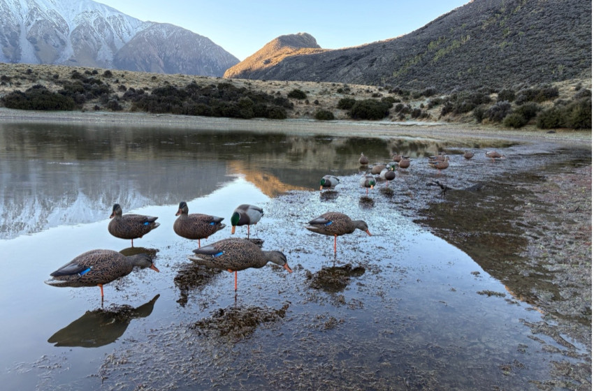 North Canterbury - Bi-Weekly Hunting Report 22 May 2025