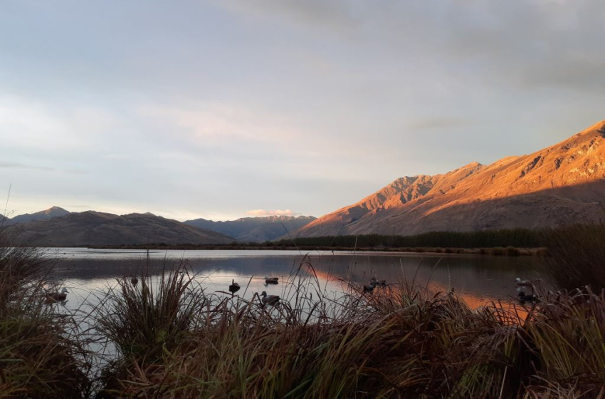 Otago - The Game Call - 05 June 2025