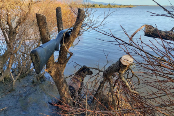 Web Cover 30Jun2022 Copy FocusFillWyIwLjAwIiwiMC4wMCIsODUwLDU2MF0