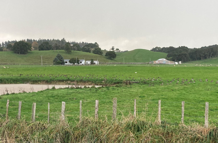 Wellington Game Bird Hunting Bulletin - 16th June 2022