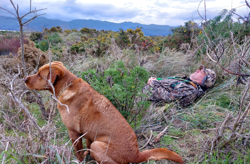 Wellington Game Bird Hunting Bulletin - 17th June 2021