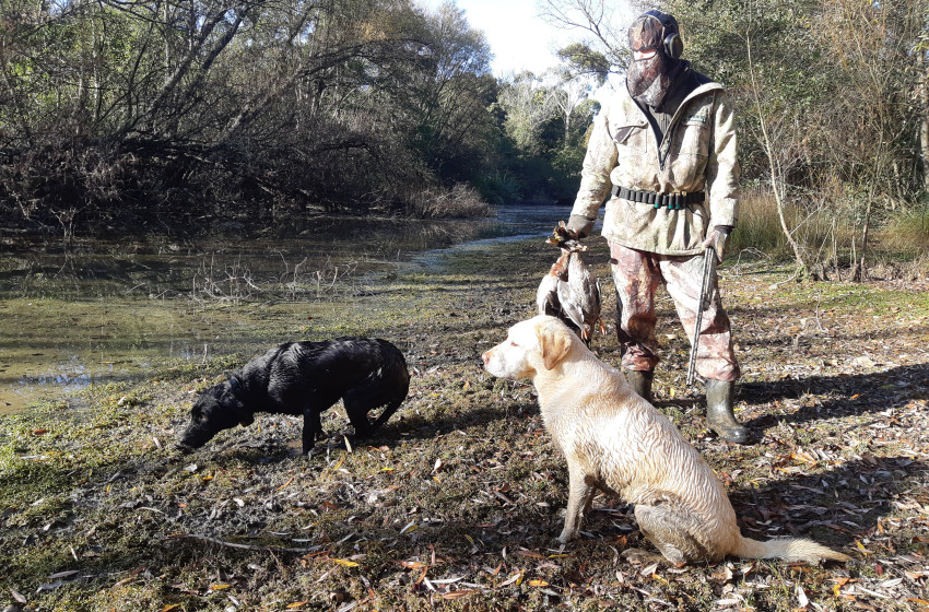Wellington Game Bird Hunting Bulletin - 22 April 2021
