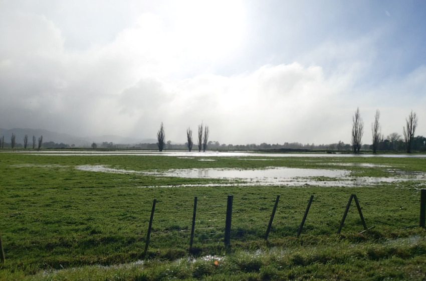 Wellington Game Bird Hunting Bulletin - 23 June 2022