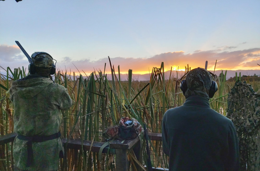 Wellington Game Bird Hunting Bulletin - 27th May 2021