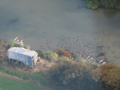 Loaded maimai Manawatu