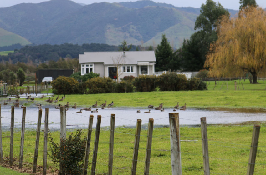 Wellington Game Bird Hunting Bulletin - 2nd June 2022