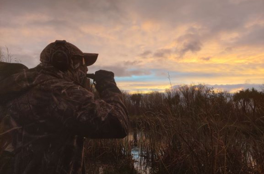 Wellington Game Bird Hunting Bulletin - 3rd June 2021