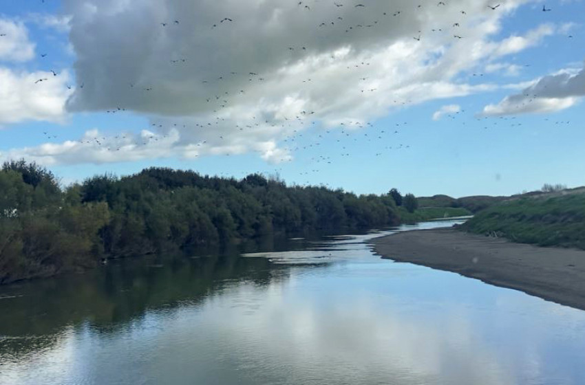 Wellington Game Bird Hunting Bulletin - 4th May 2022