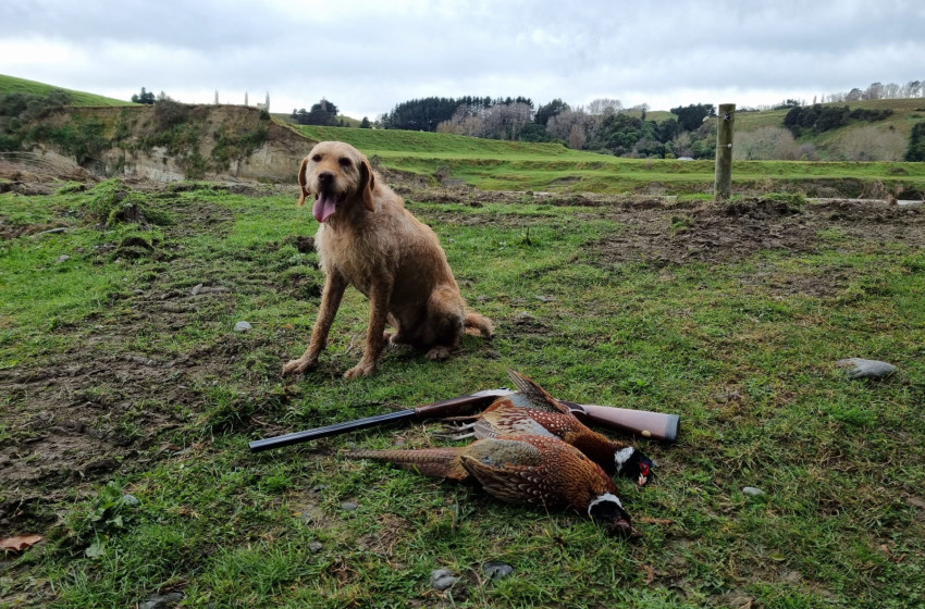 Wellington Weekly Huntin Bulletin 22 June 2023