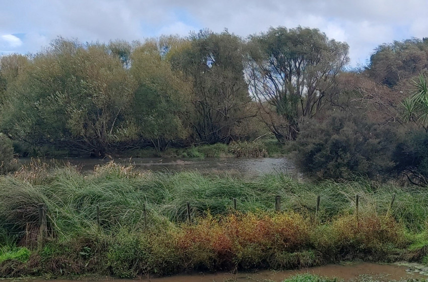 Wellington Weekly Hunting Bulletin - 01 June 2023
