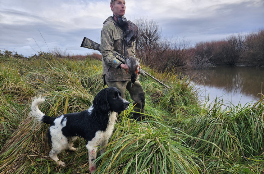 Wellington Weekly Hunting Bulletin - 29 June 2023