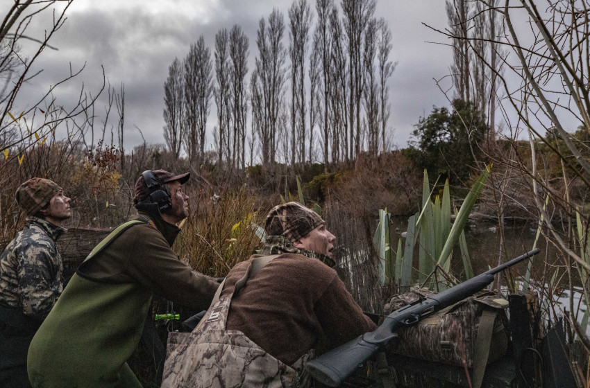Wellington Weekly Hunting Report - 4 May 2023