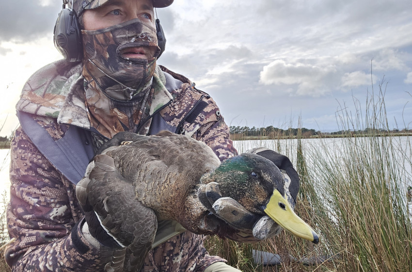 Wellington/Taranaki - Weekly Hunting Bulletin 1 May 2025
