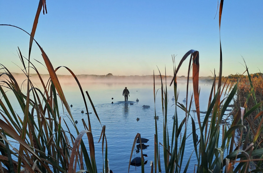 Wellington/Taranaki - Weekly Hunting Bulletin 6 June 2024