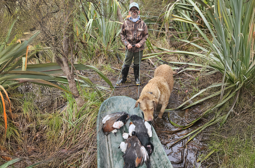 Wellington/Taranaki weekly hunting report 19 June 2025