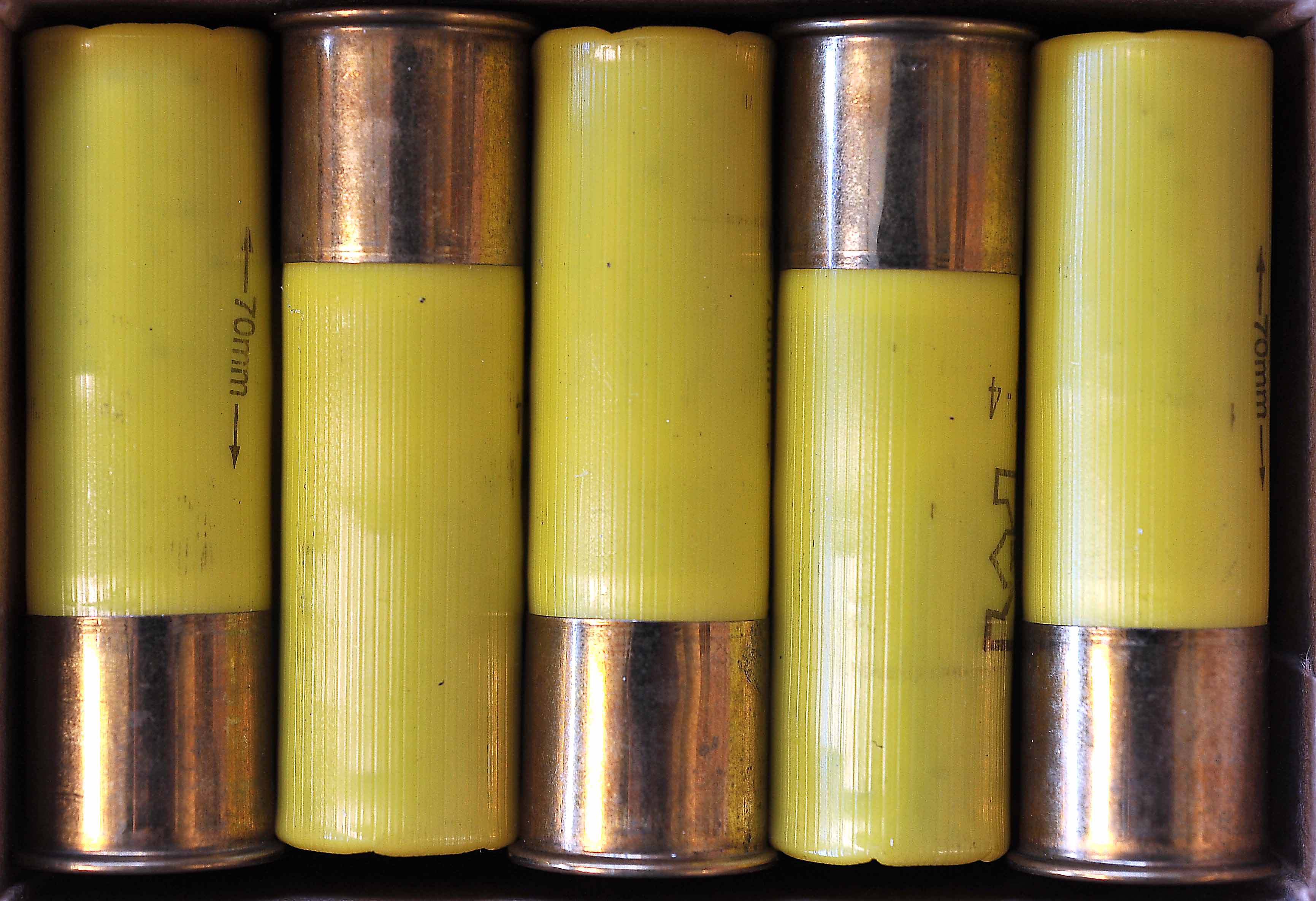 BB 1 20 gauge shells