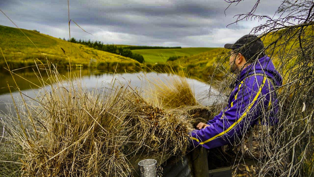 19042021pondfeeding3 1
