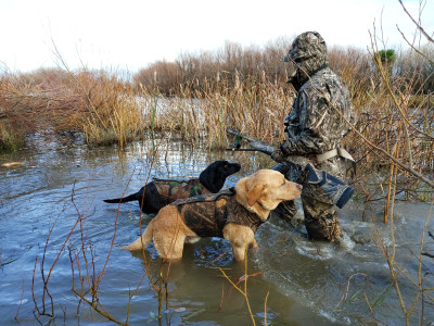 Last season was excellent this one could be even better Copyright Hamish Carnachan