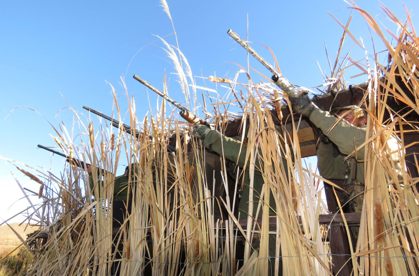 Both Barrels April 2022