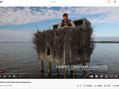 Screen Shot 2022 04 19 at 1.25.06 PM