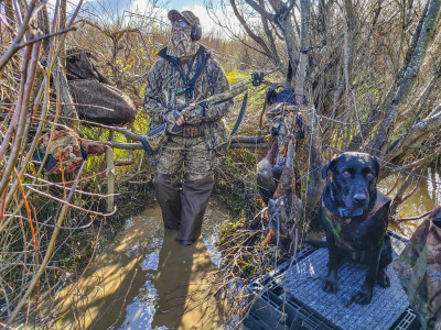 WGTN GBS 22 Lead Image 1 copy