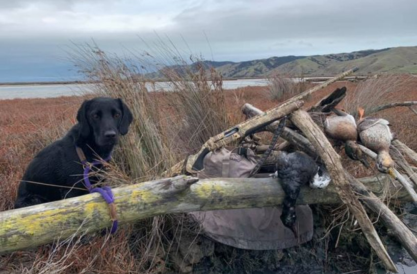 Both Barrels April 2022