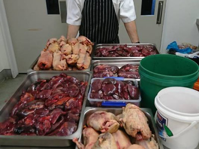 SS 1 Phil gamebird fest