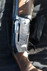 ss image 5