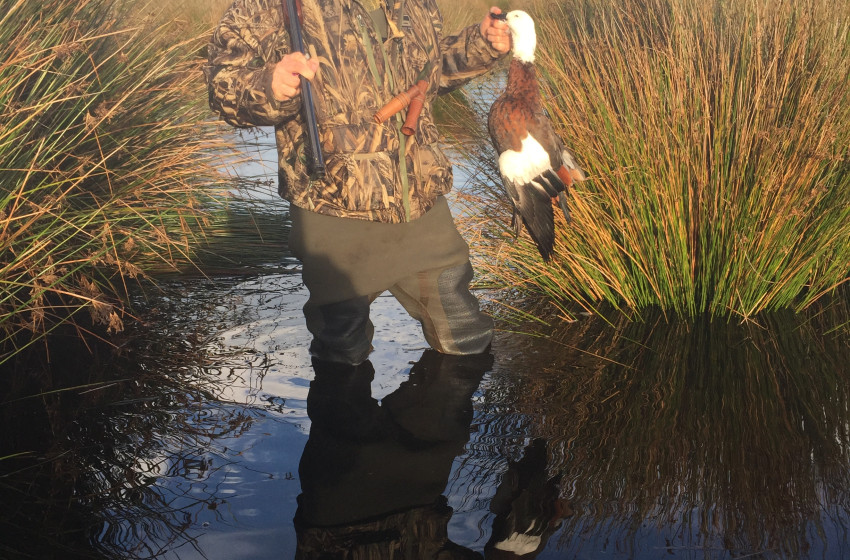 Southland Both Barrels July 2018