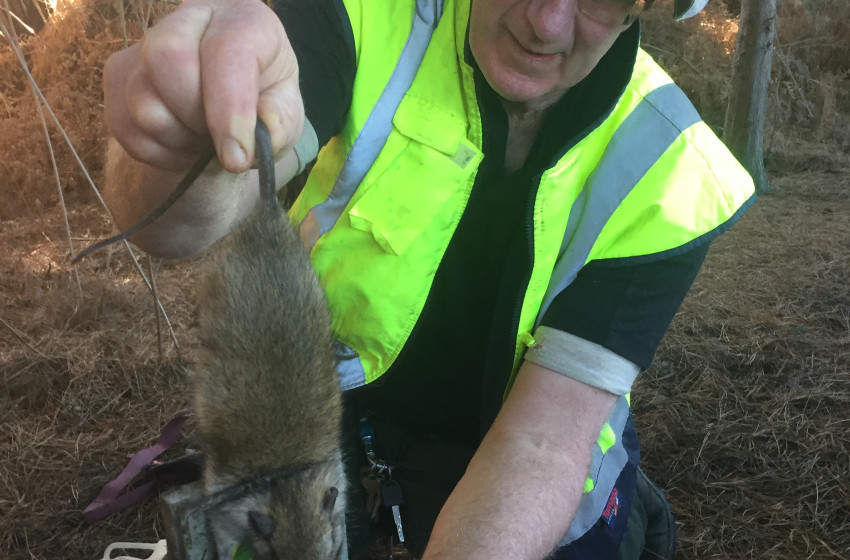 Nelson/Marlborough Both Barrels July 2018