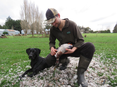 Cohen plucking ducks with Emma 2019a