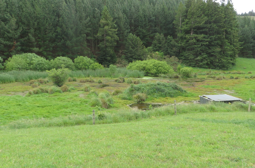 Hawke's Bay Both Barrels July 2019