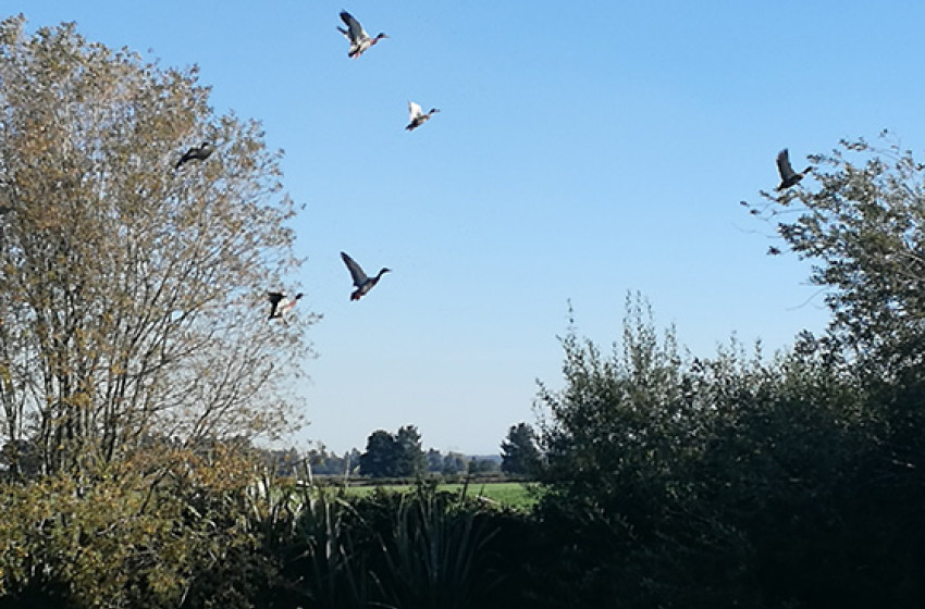 Wellington Both Barrels July 2019
