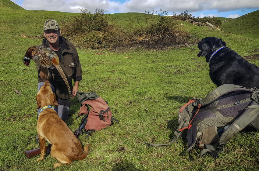 Both Barrels July 2020