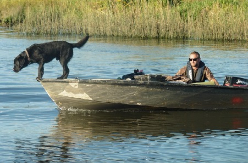 Both Barrels July 2020