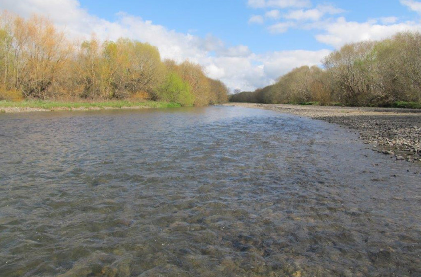 Both Barrels July 2020