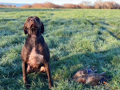 7A2F11CD 6AC2 4166 955E A451FD0C21F0