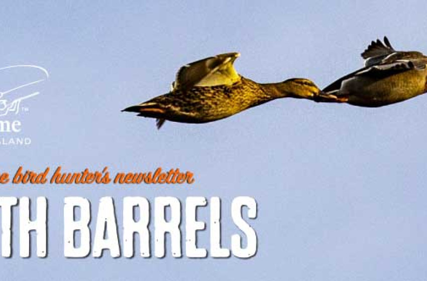 Both Barrels July 2021