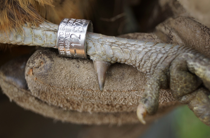 Both Barrels July 2021