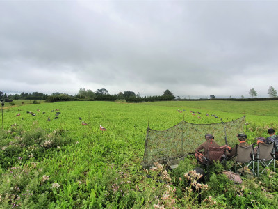 TBBJuly2021. Hunters all set for a productive paradise summer season. Photo Curly McEwen.