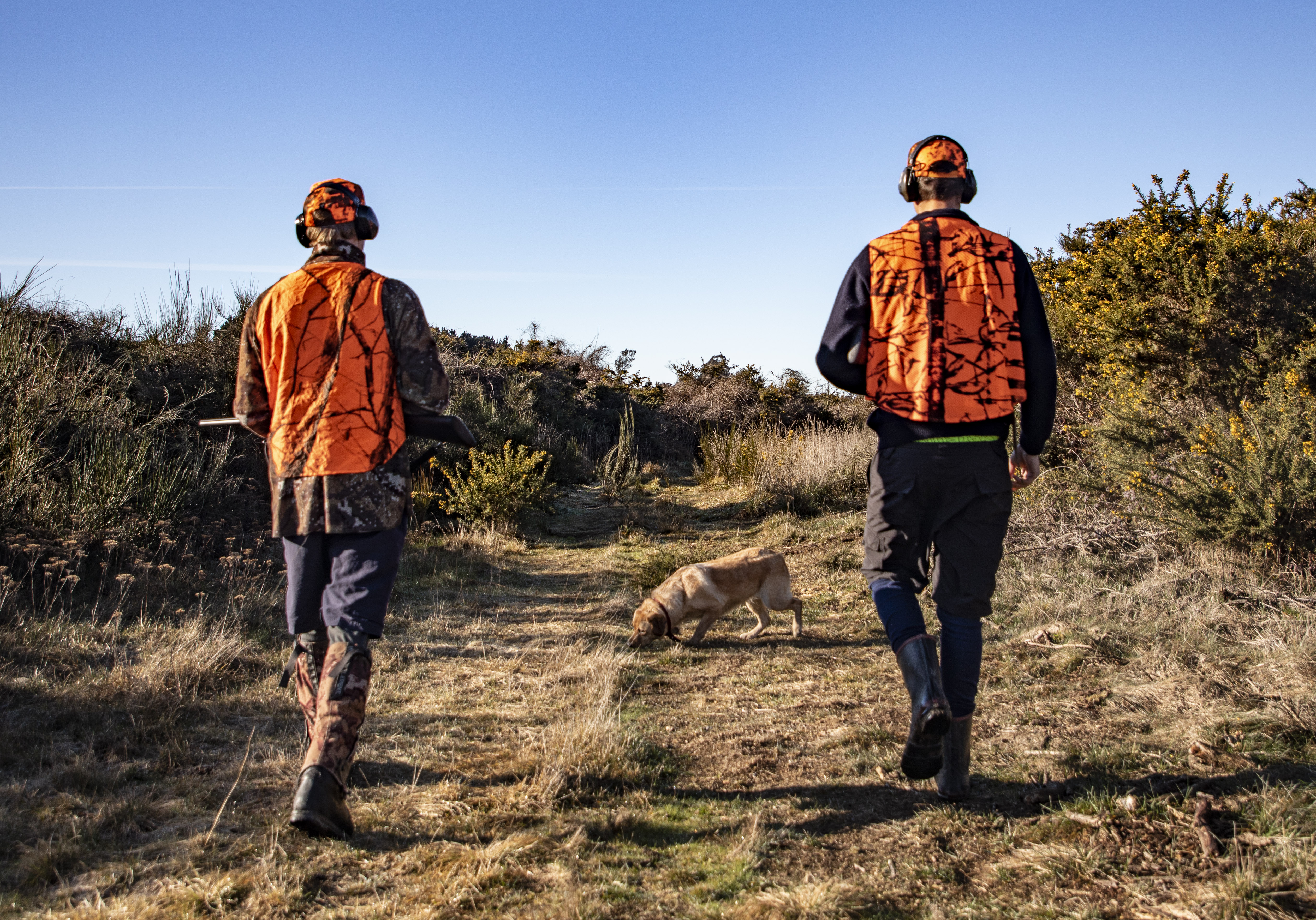 BBcsiJULY 2 Quail hunting in the scrubby margins of the Rangitata River Photo Richie Cosgrove