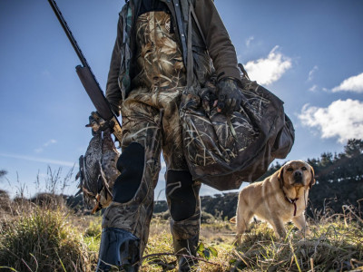 Hunter dog bag and gun